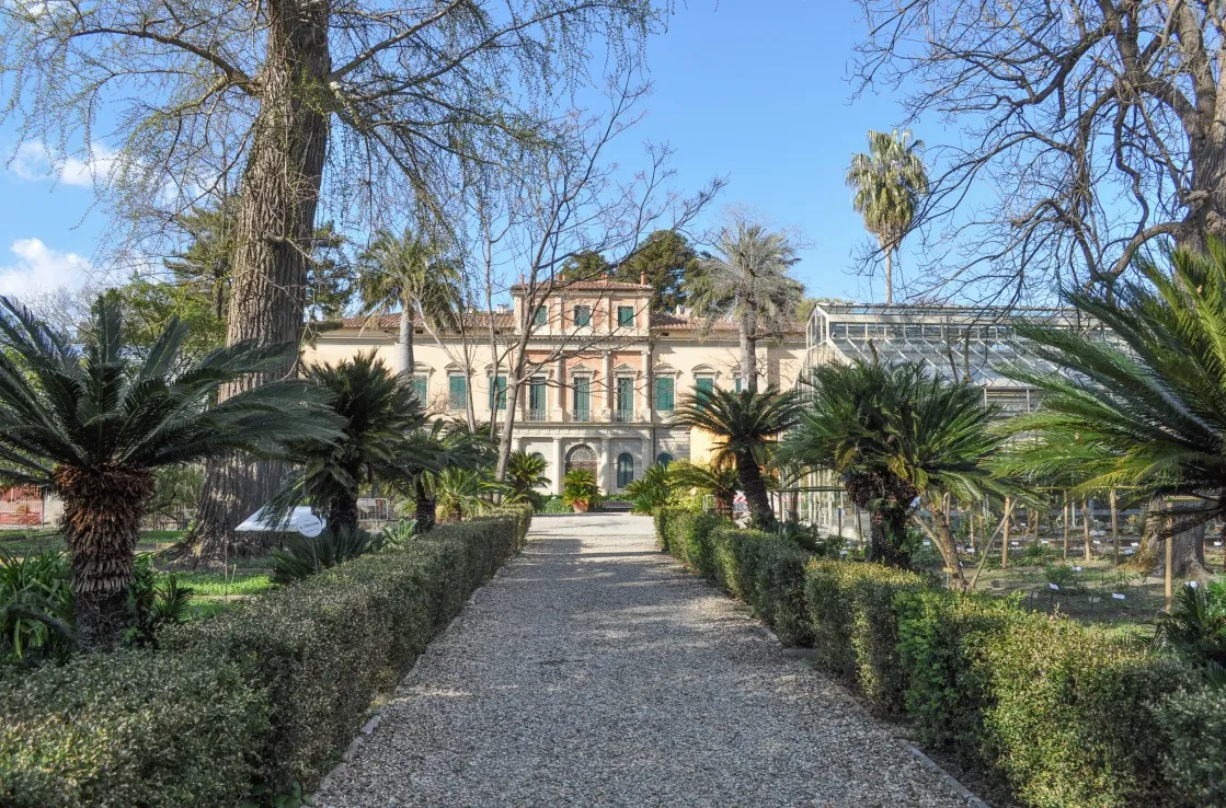 Der Botanische Garten von Pisa in Italien